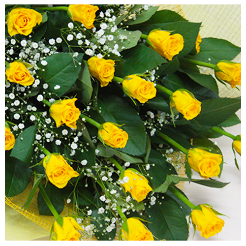 a_13502_500_500_zoom.png