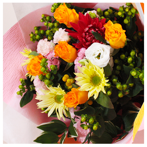 a_12006_500_500_zoom.png