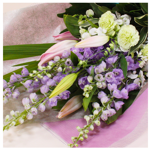 a_11504_500_500_zoom.png