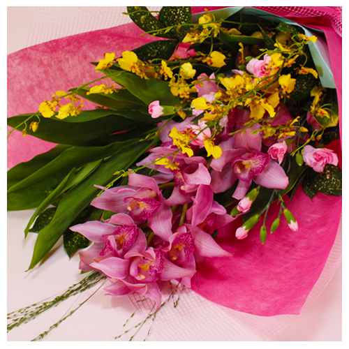 a_13014_500_500_zoom.png