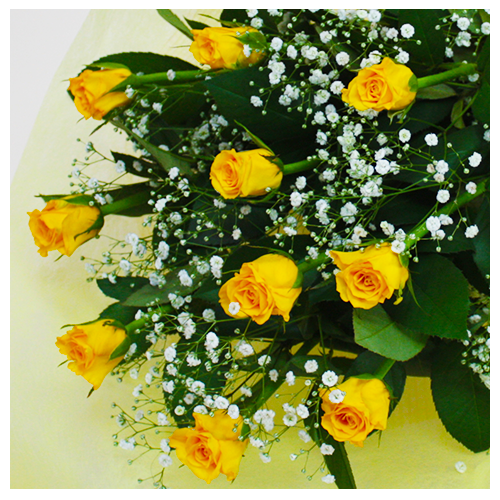 a_13009_500_500_zoom.png