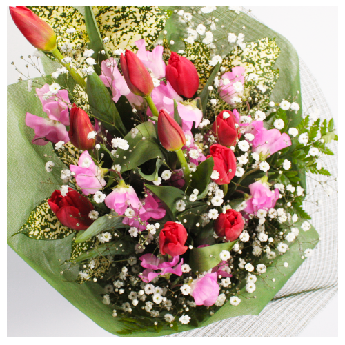 a_12805_500_500_zoom.png