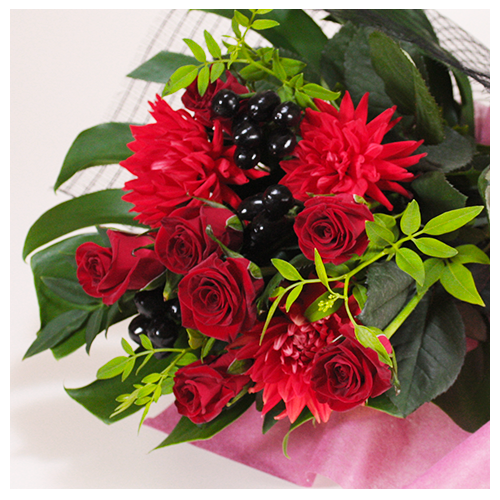 a_12005_500_500_zoom.png