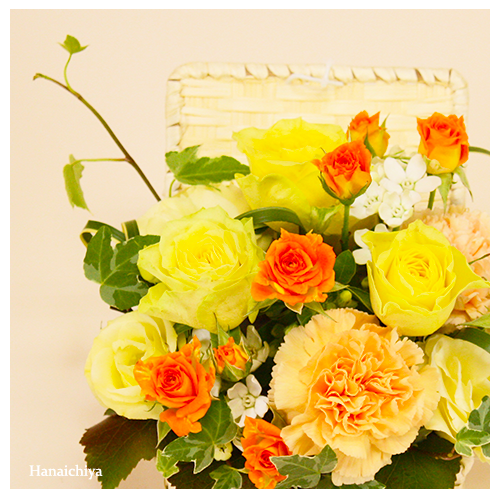 34ac75a4ee110a0142ad9693b35905e0.png